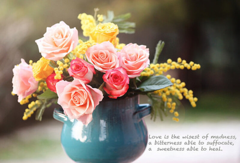 Roses in a Blue Vase — Pink