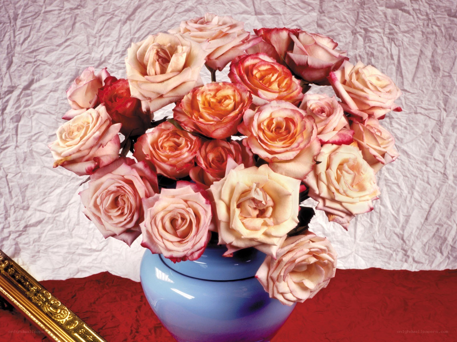 roses in a blue vase
