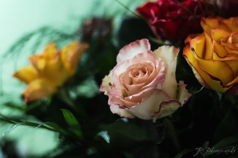 Roses in a Bouquet — Pink, Calm, Photograph, Flowers