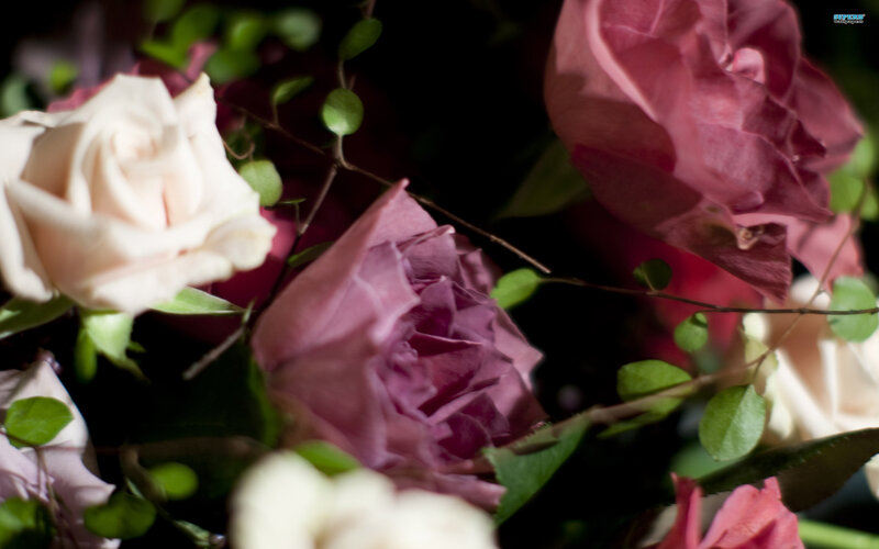 Roses in a Bouquet — Pink, Dramatic