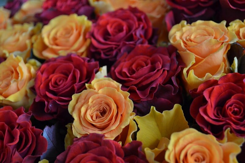 Roses in a Bouquet — Red, Vibrant