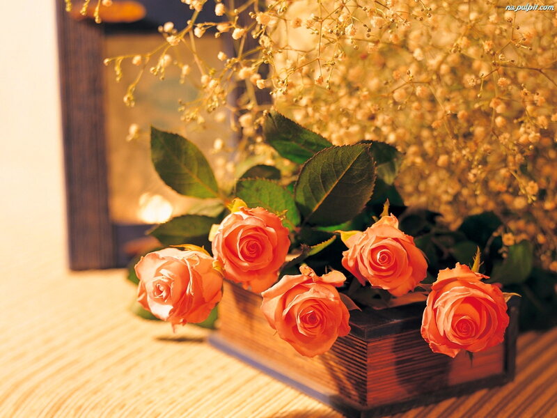 Roses in a Box — Orange