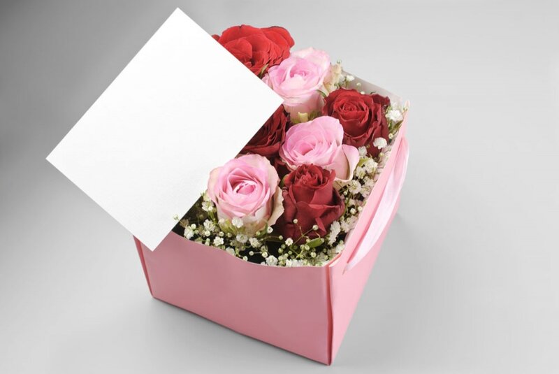 Roses in a Box — Pink, Calm, Photograph, Card
