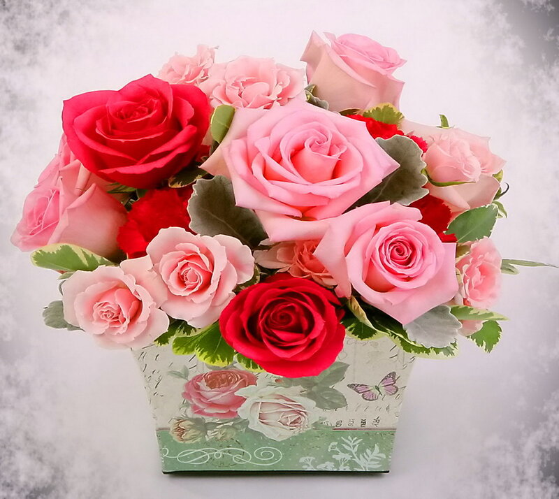 Roses in a Box — Pink, Calm, Photograph