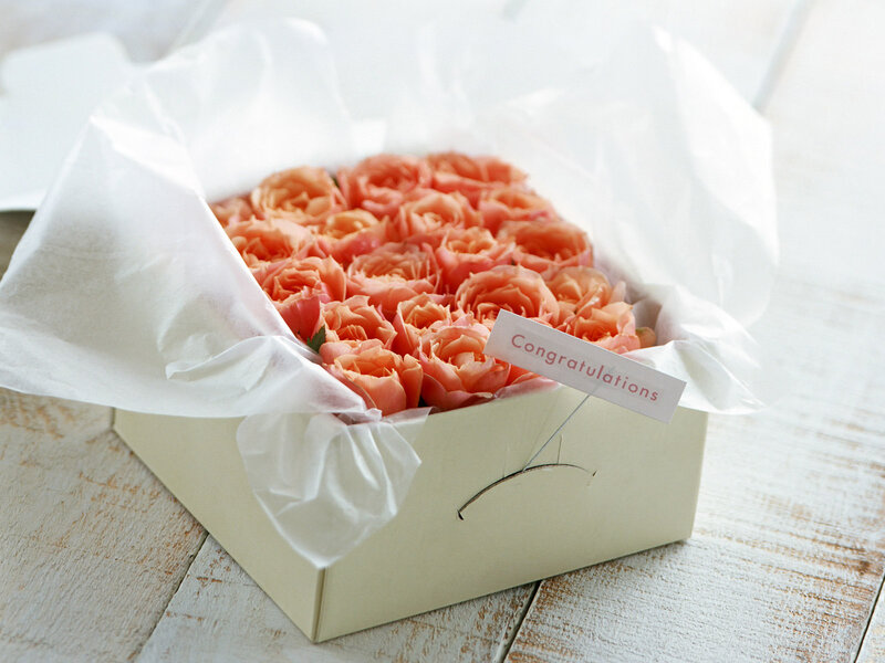 Roses in a Box — Pink, Calm