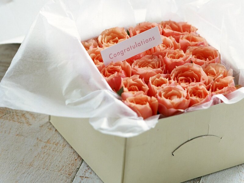 Roses in a Box — Pink, Celebratory