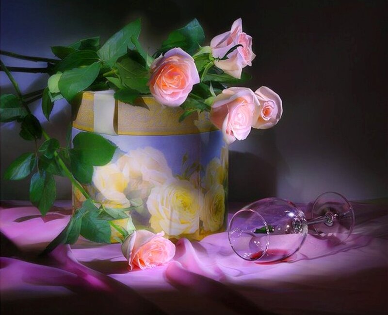 Roses in a Box — Pink, Dramatic, Night, Photograph