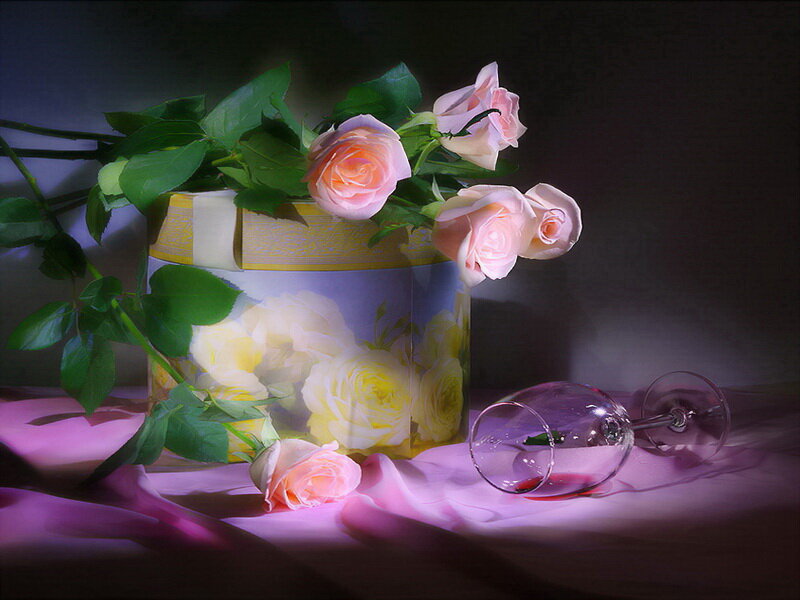 Roses in a Box — Pink, Dramatic, Night