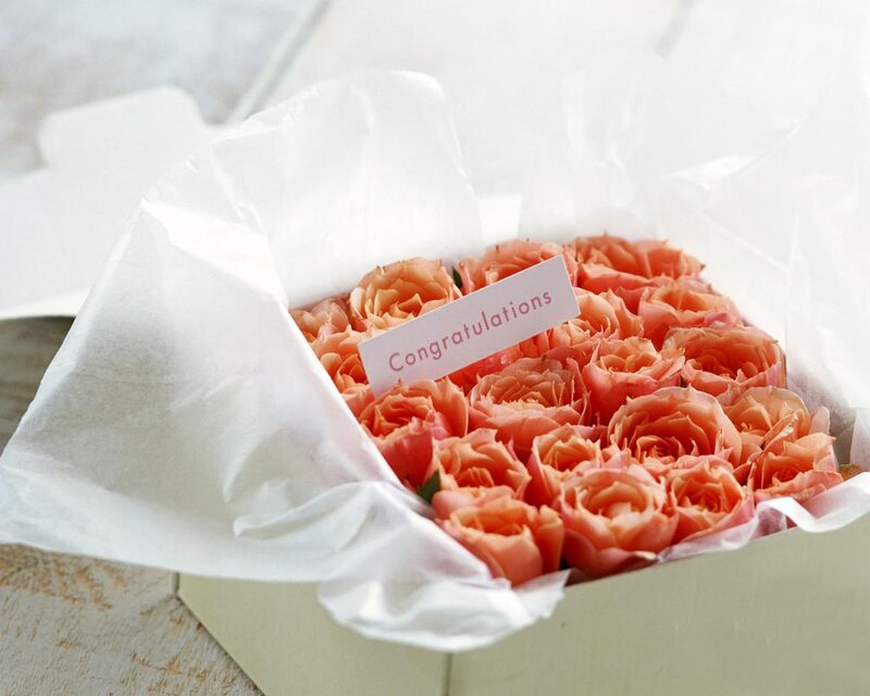 Roses in a Box — Pink