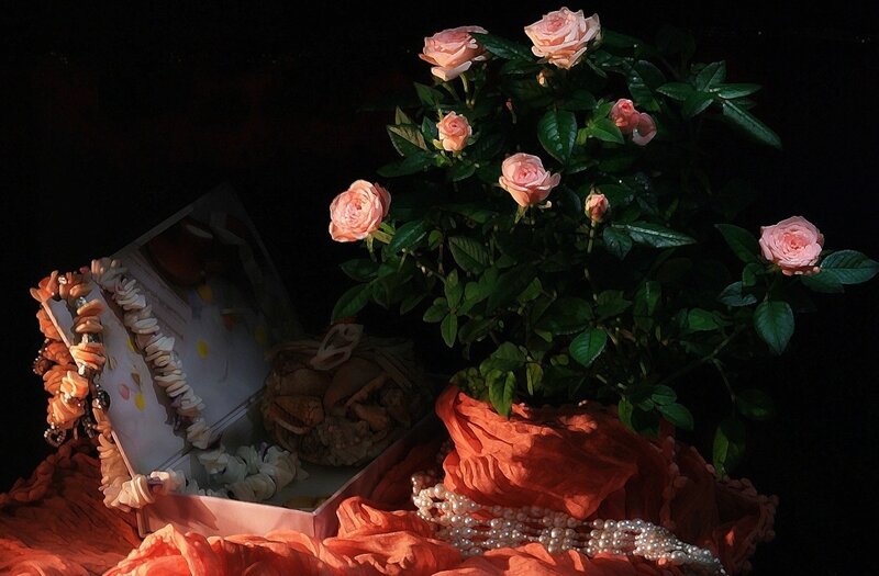 Roses in a Box
