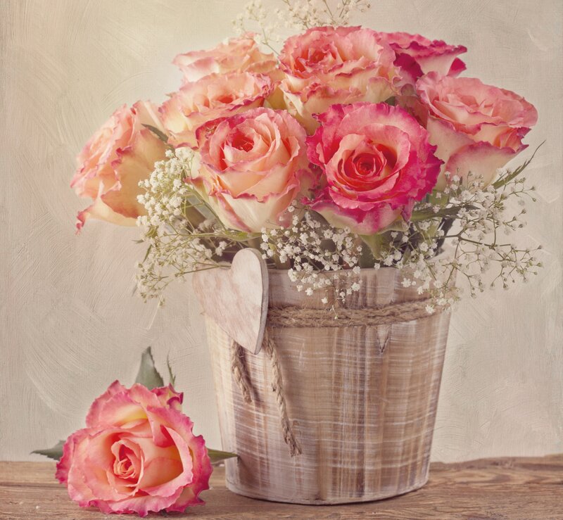 Roses in a Bucket — Pink, Calm, Photograph
