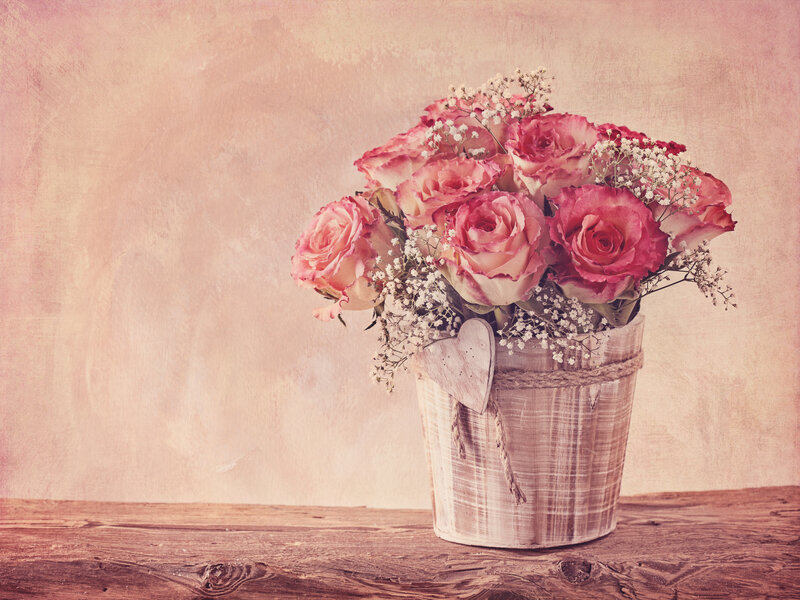 Roses in a Bucket — Pink, Calm