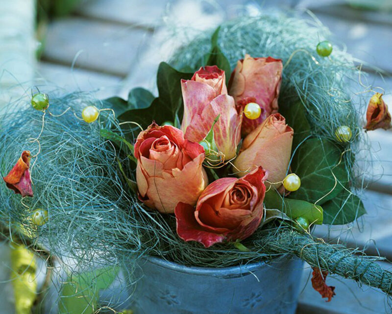 Roses in a Bucket — Red