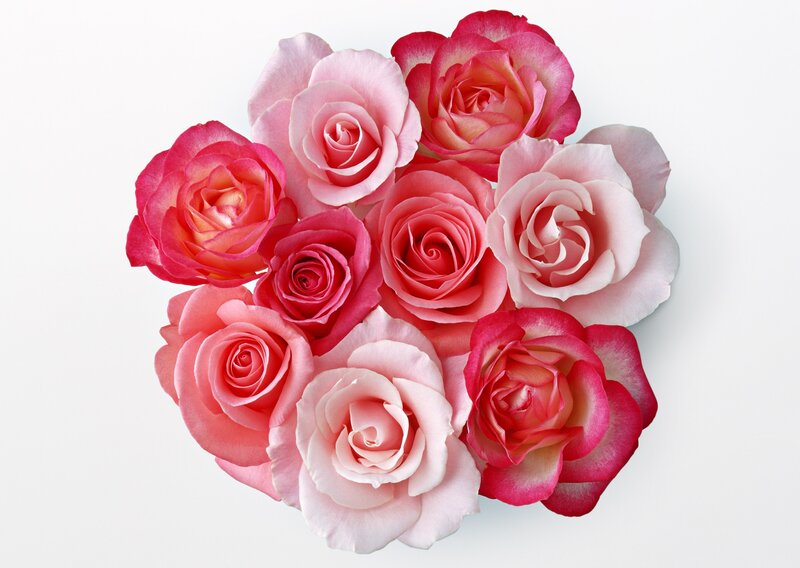 Roses in a Circular Arrangement