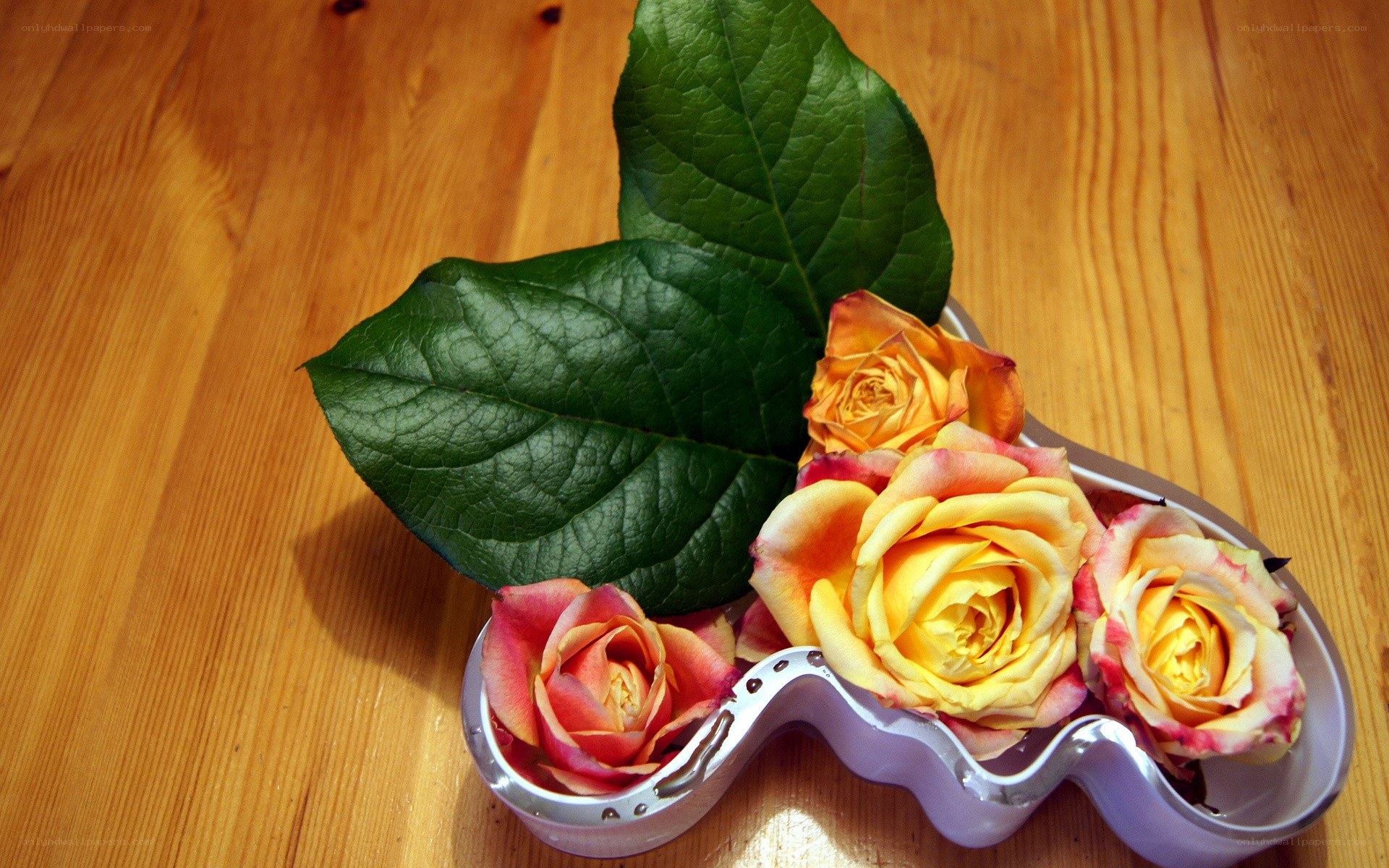 Roses in a decorative dish