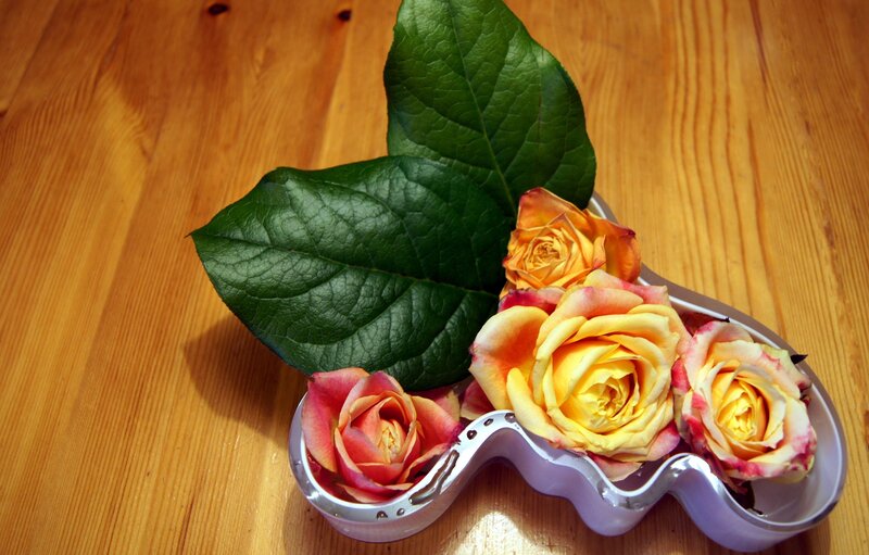 Roses in a Dish