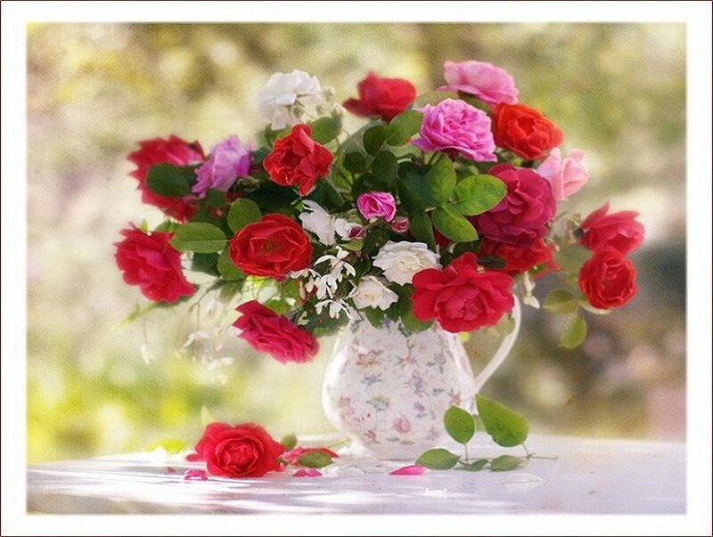 roses in a floral pitcher