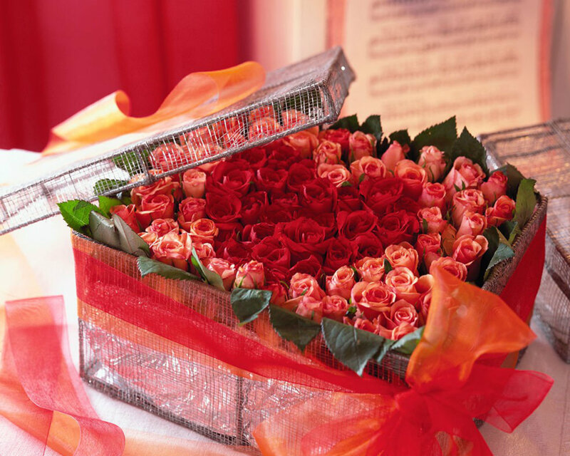 Roses in a Gift Box — Red