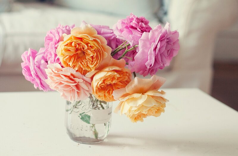 Roses in a Glass Jar — Pink