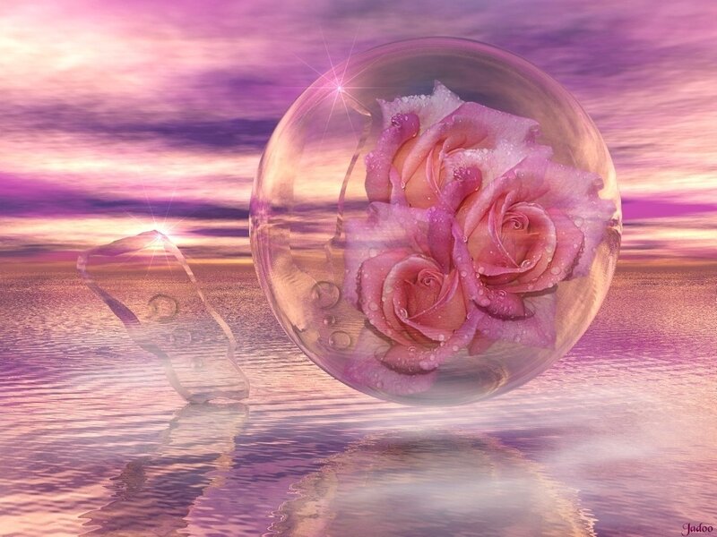 roses in a glass sphere