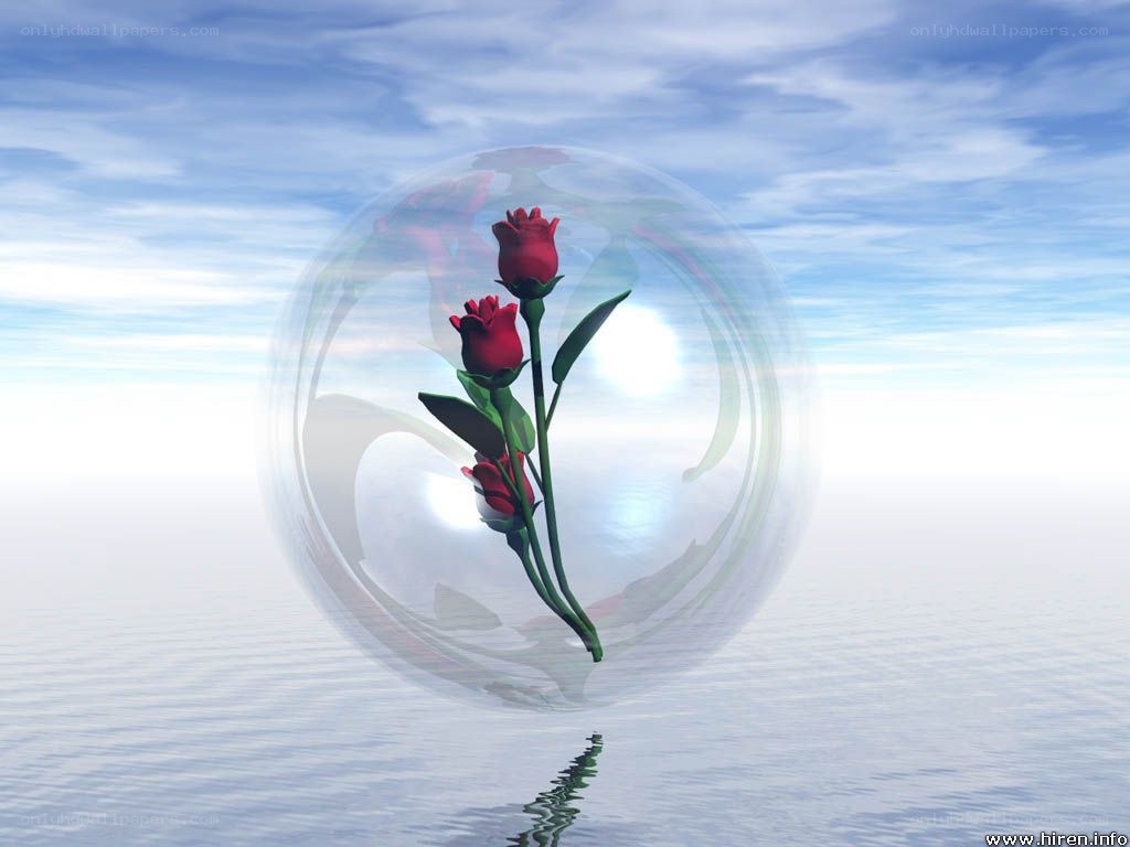 roses in a glass sphere
