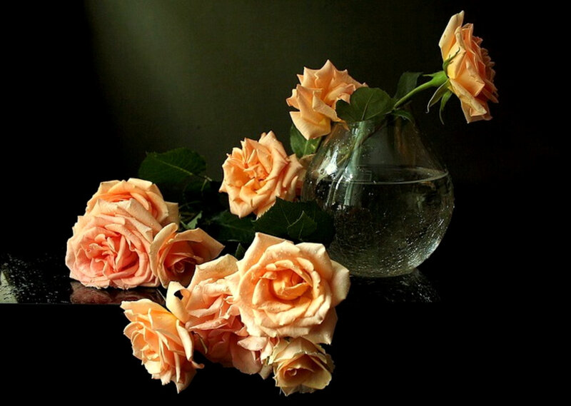 Roses in a glass vase
