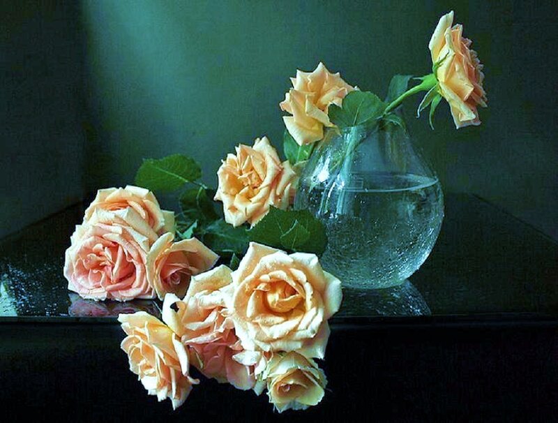 Roses in a glass vase