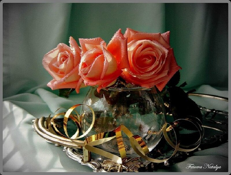 roses in a glass vase