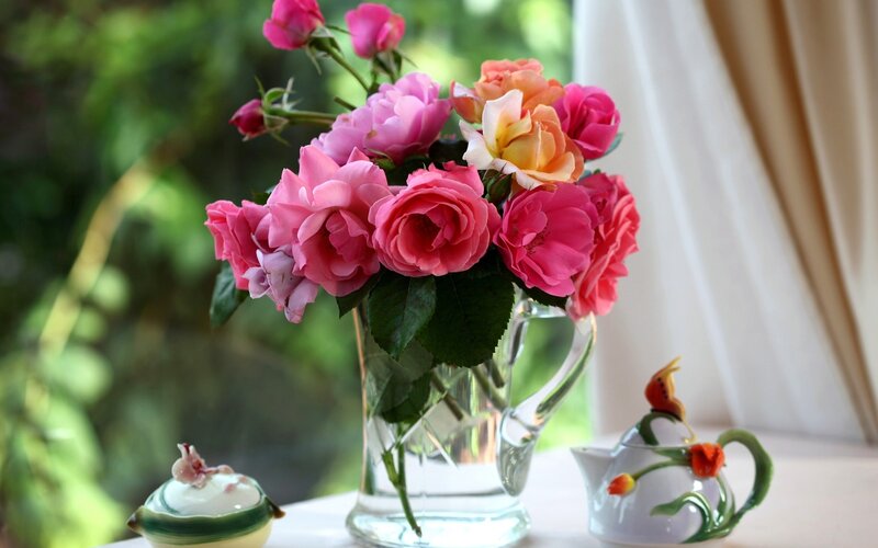 roses in a glass vase