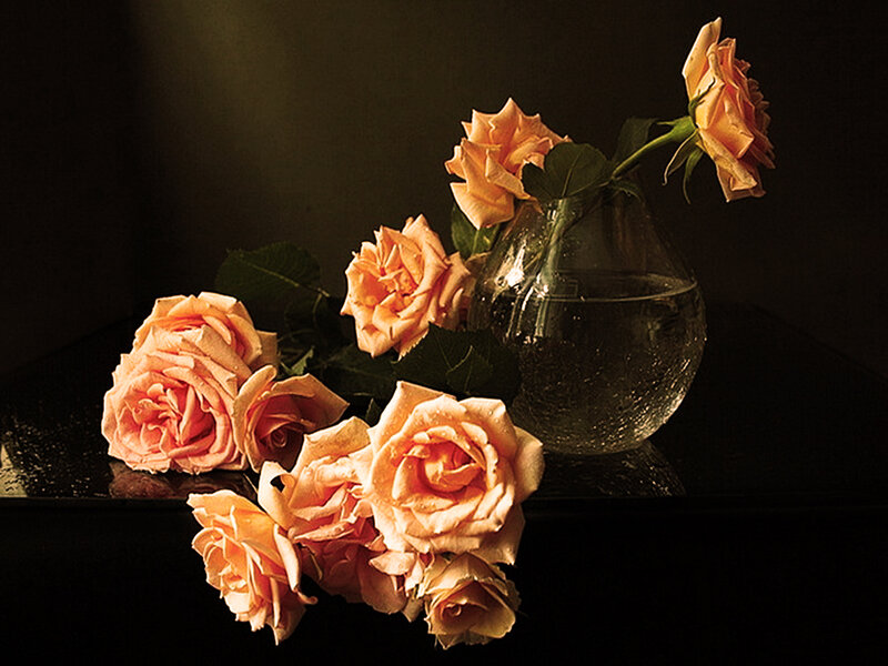 Roses in a Glass Vase — Orange