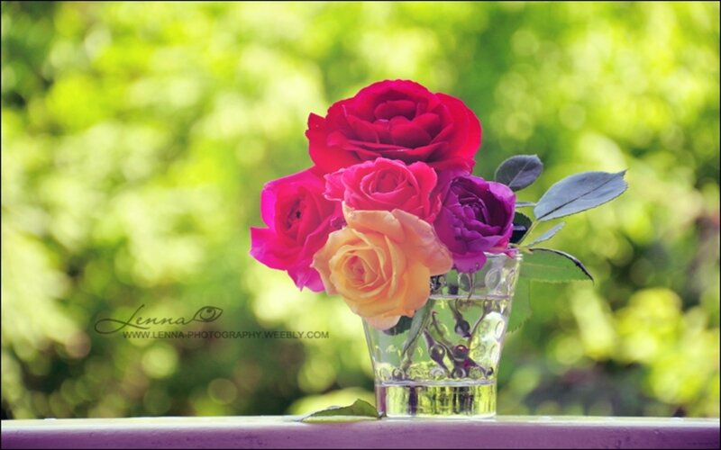 Roses in a Glass Vase — Pink, Serene