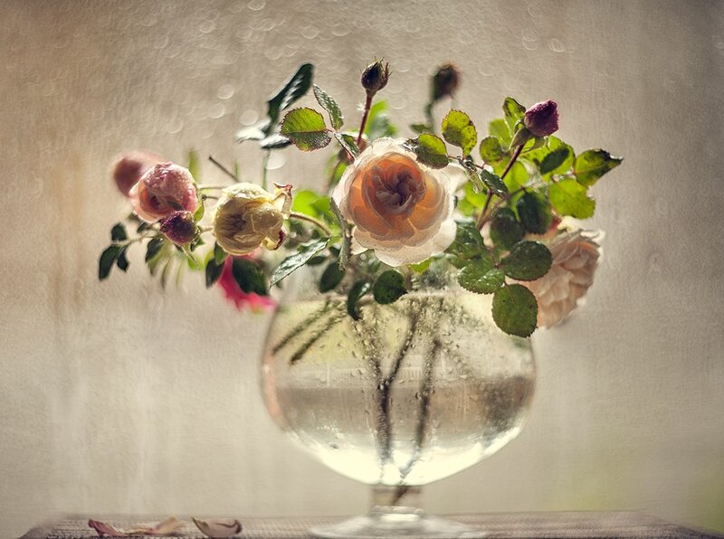 Roses in a Glass Vase — White, Serene