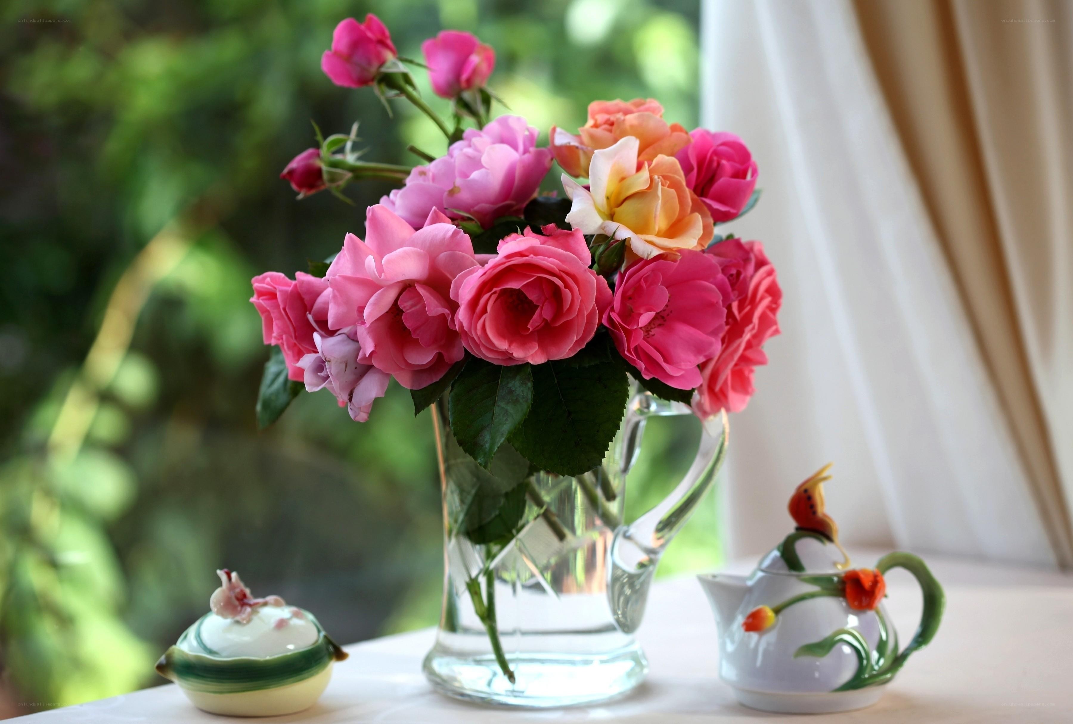 Roses in a glass vase