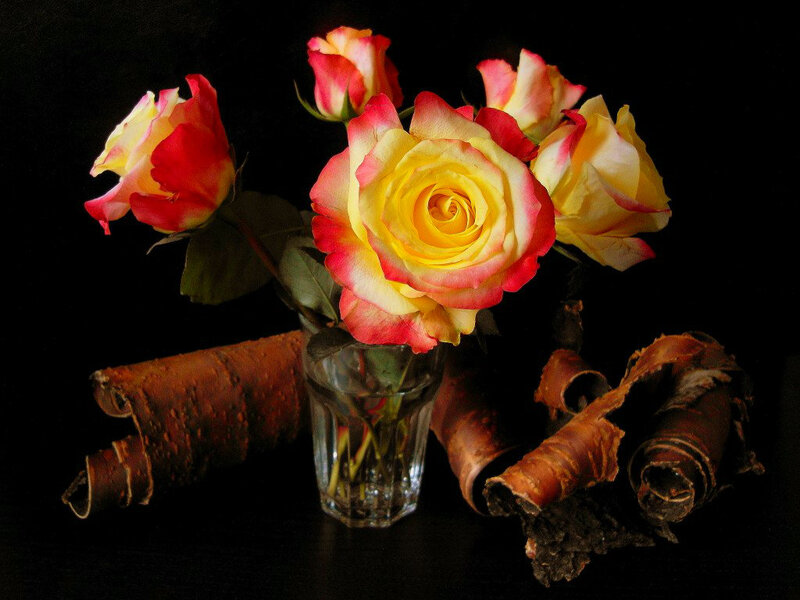 Roses in a Glass — Yellow