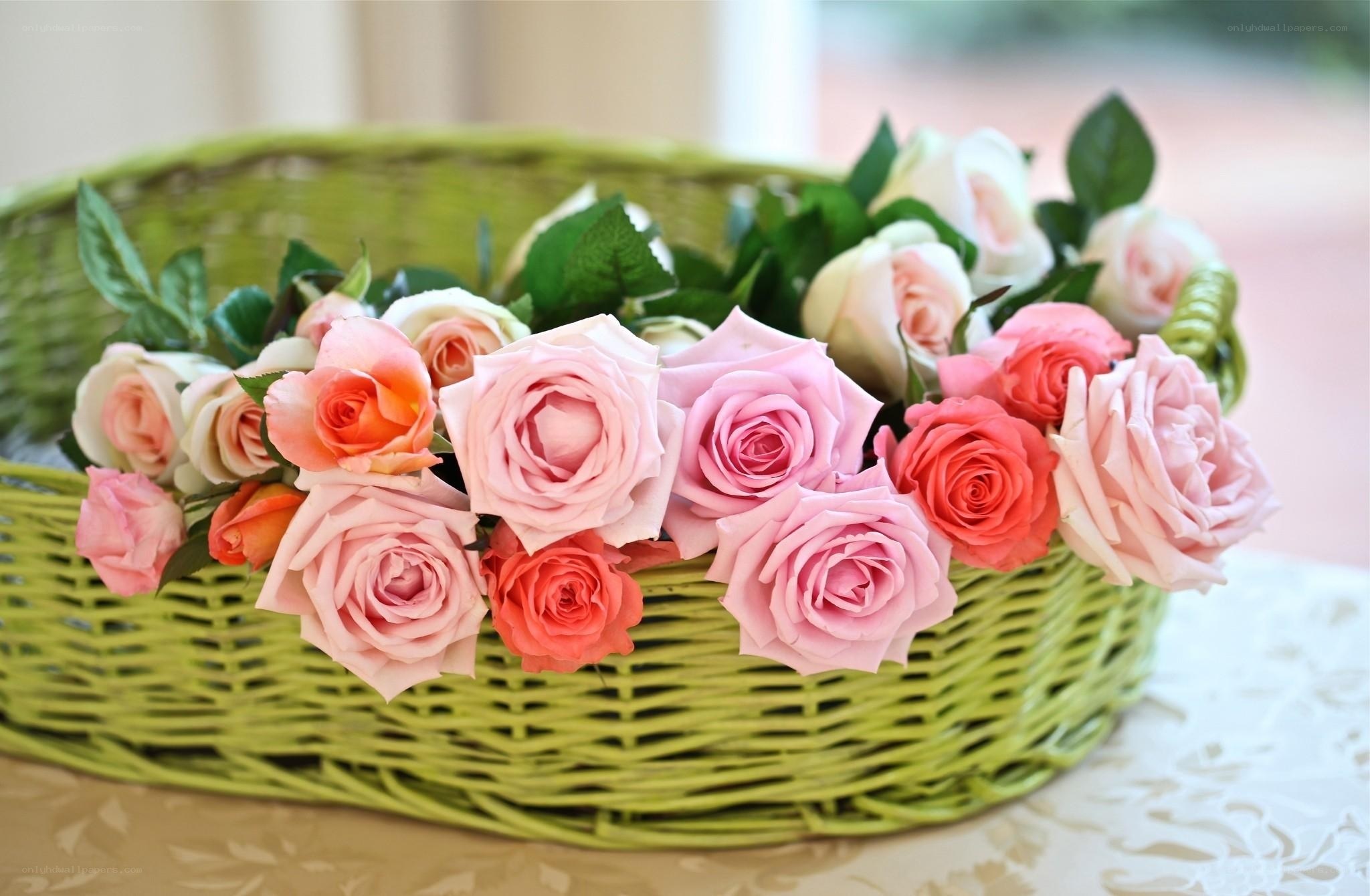 roses in a green basket