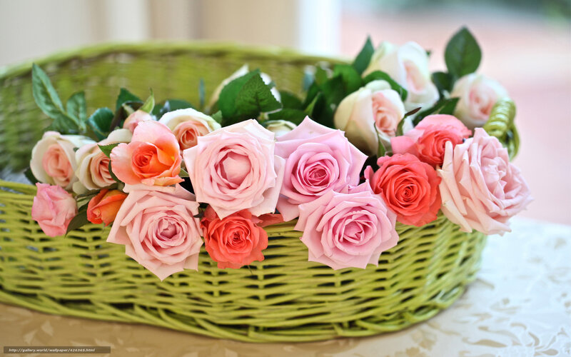 roses in a green basket