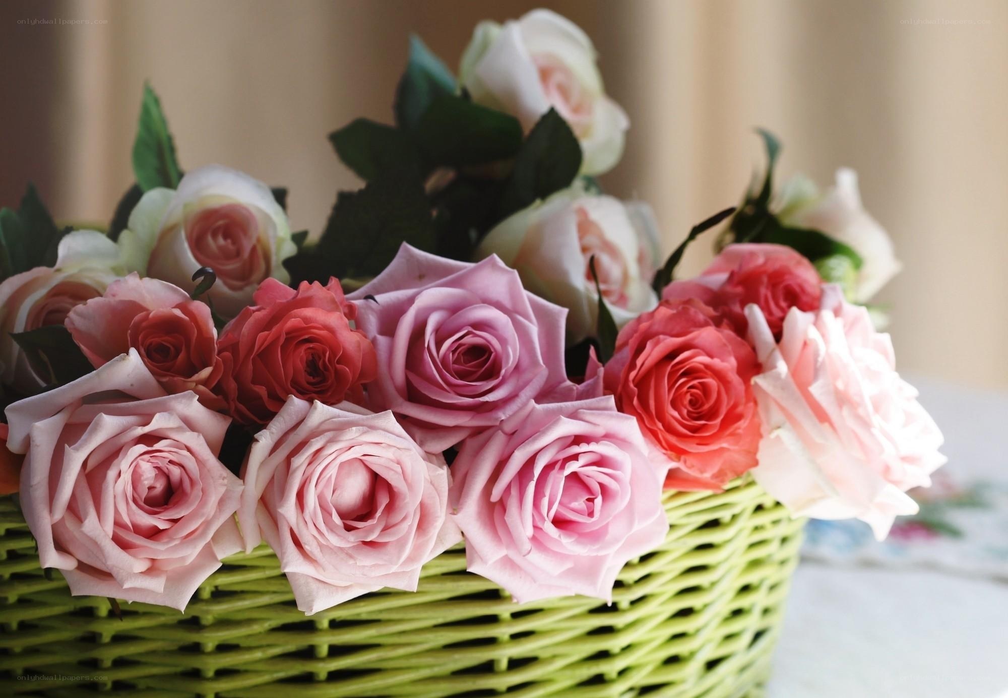 roses in a green basket