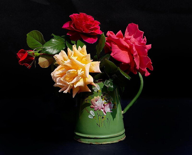 Roses in a green pitcher