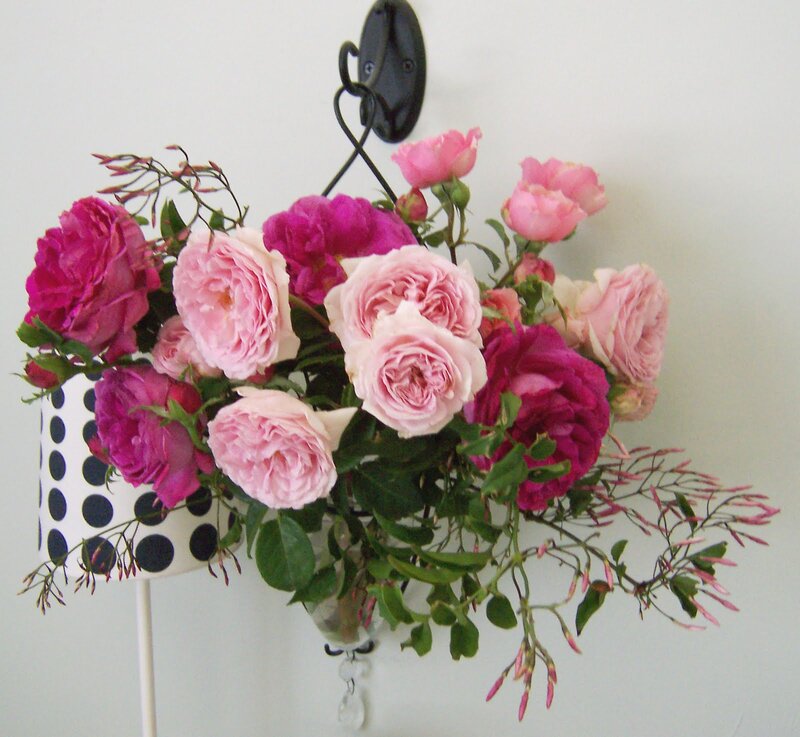 Roses in a Hanging Vase