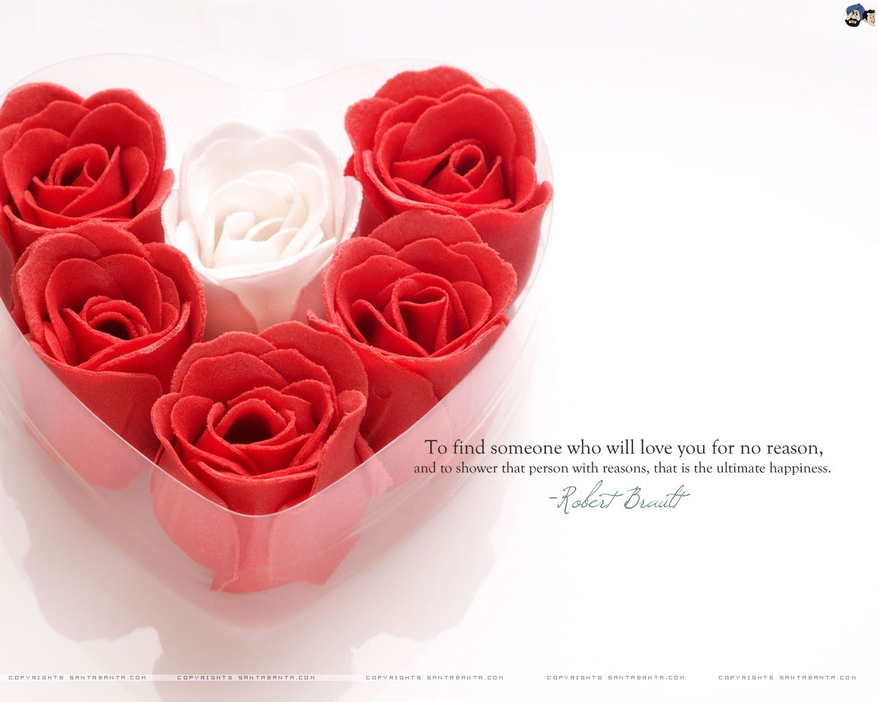 Roses in a heart-shaped box