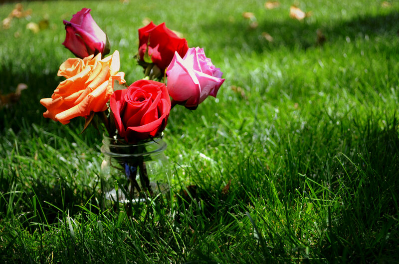 Roses in a Jar