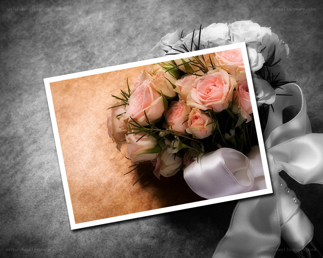 roses in a photo frame