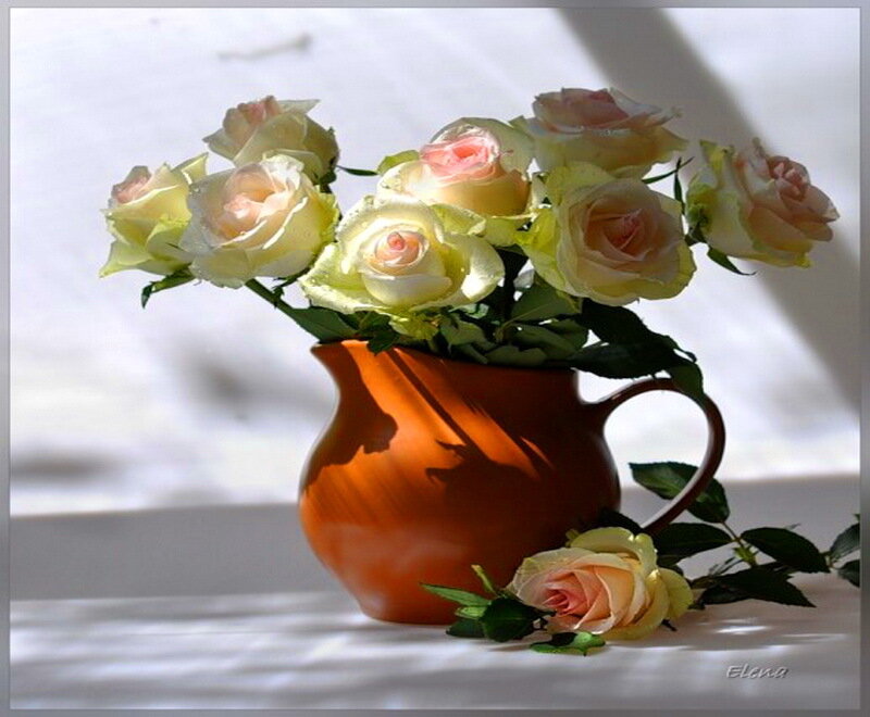 Roses in a Pitcher — Orange