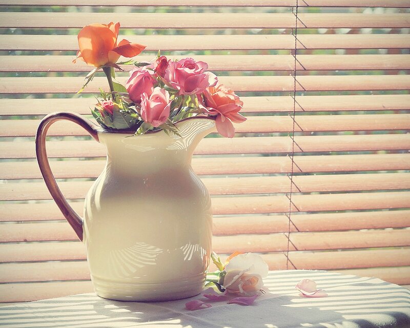 Roses in a Pitcher — Pink, Serene, Morning, Photograph
