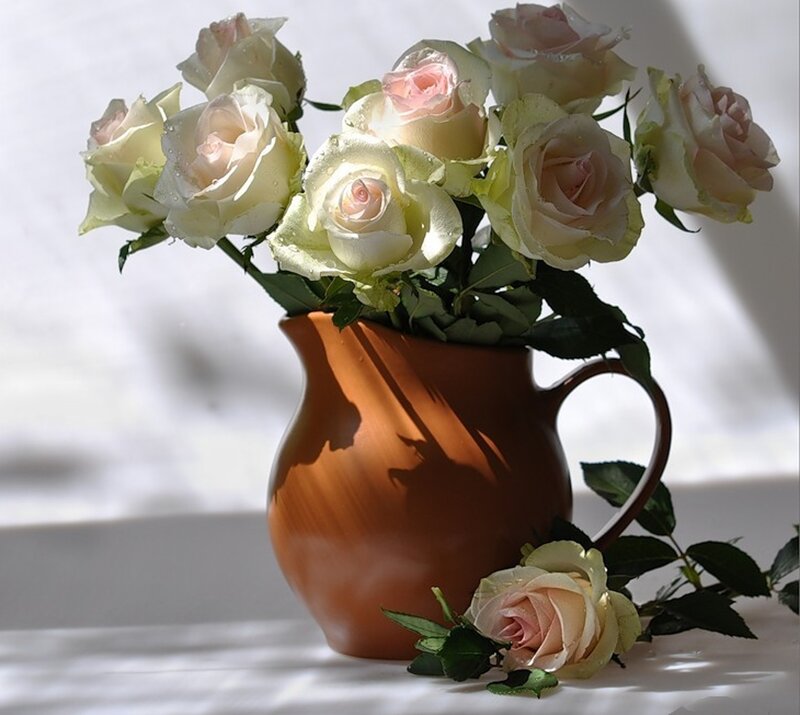 Roses in a Pitcher — White, Serene, Morning