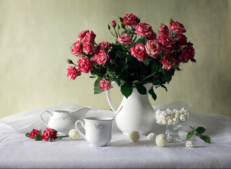 Roses in a Pitcher — White, Serene