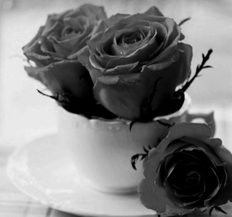 Roses in a Teacup — Black