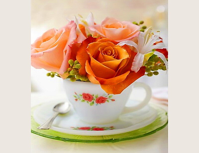 Roses in a Teacup — Orange