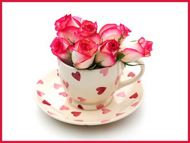 Roses in a Teacup — Pink, Calm