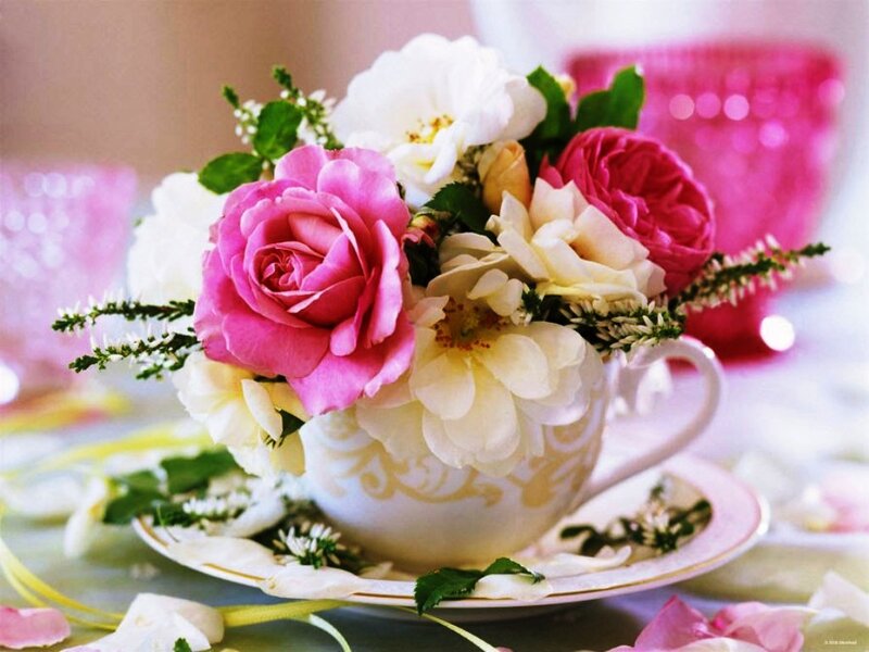 Roses in a Teacup — Pink, Elegant